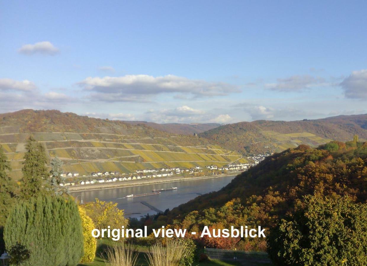 Schau-Rhein#1 - On Top Of Bacharach, Rhineview Kültér fotó